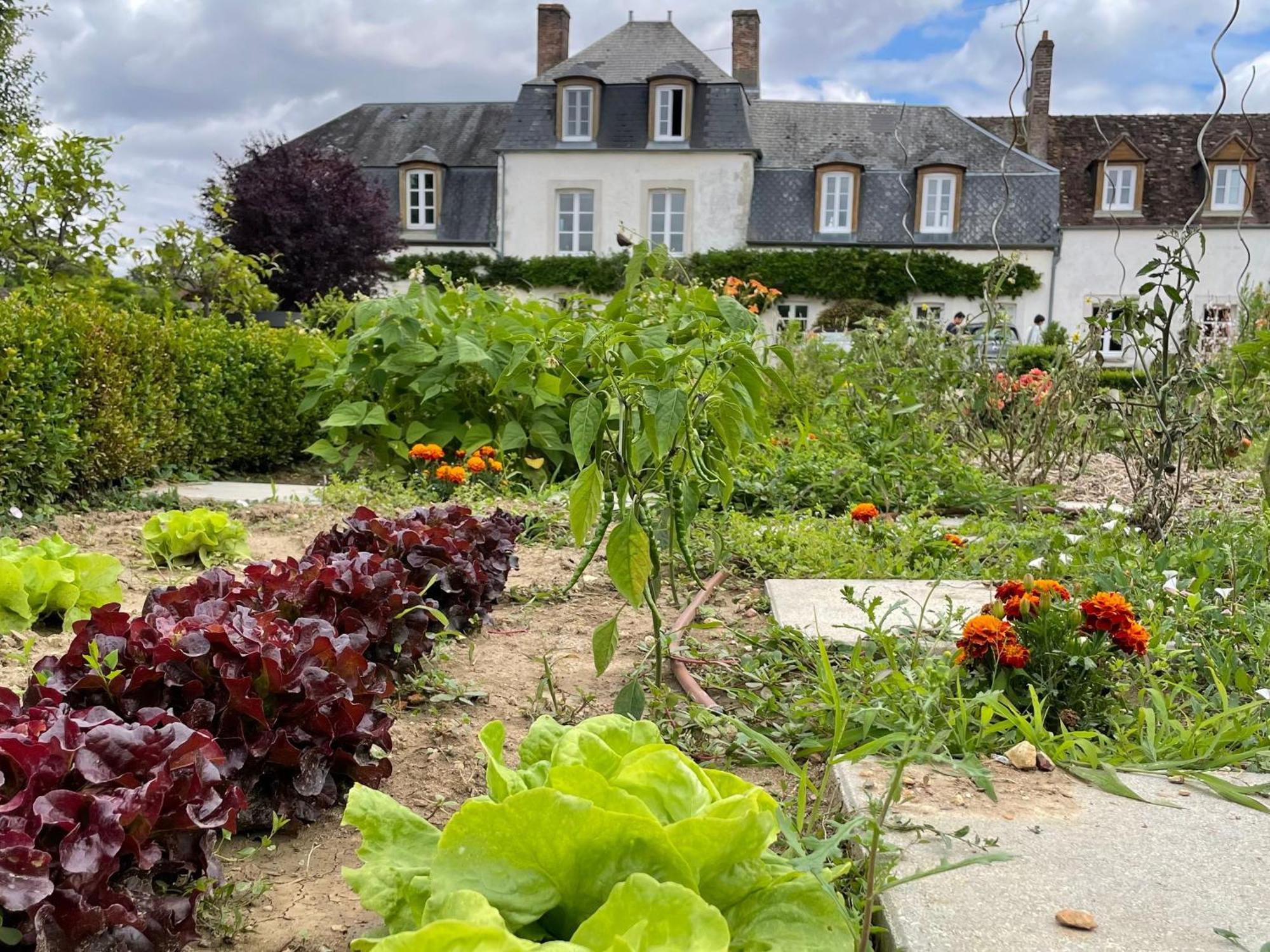 Maison De Famille Pres De Montargis - Elegance Et Confort En Foret - Fr-1-590-354 Paucourt Eksteriør bilde